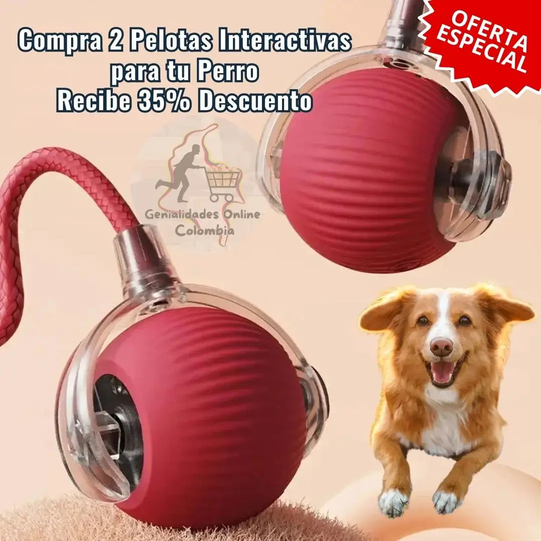 🐾 ¡Diversión sin fin para tu perro con La Pelota Interactiva! 🐶