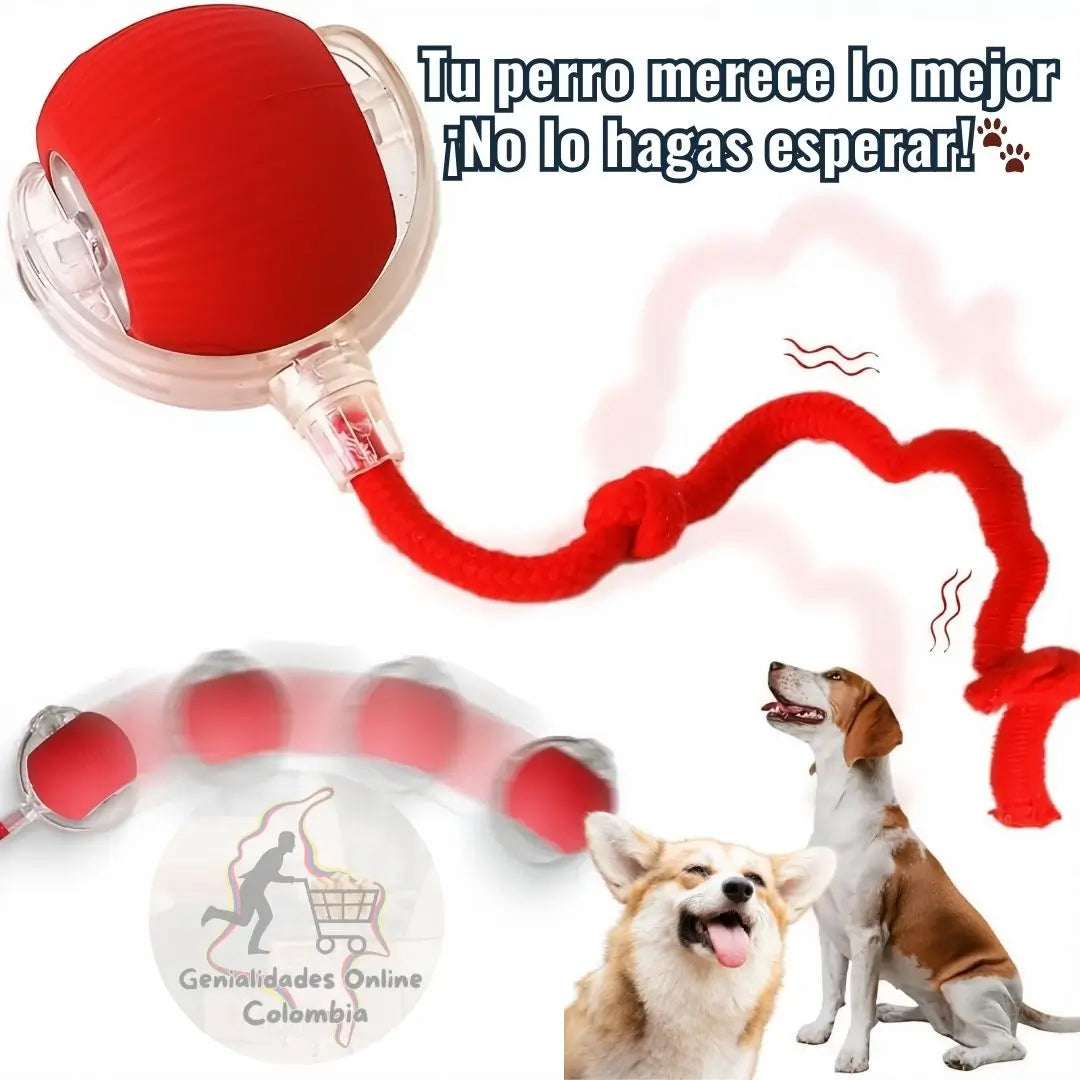 🐾 ¡Diversión sin fin para tu perro con La Pelota Interactiva! 🐶
