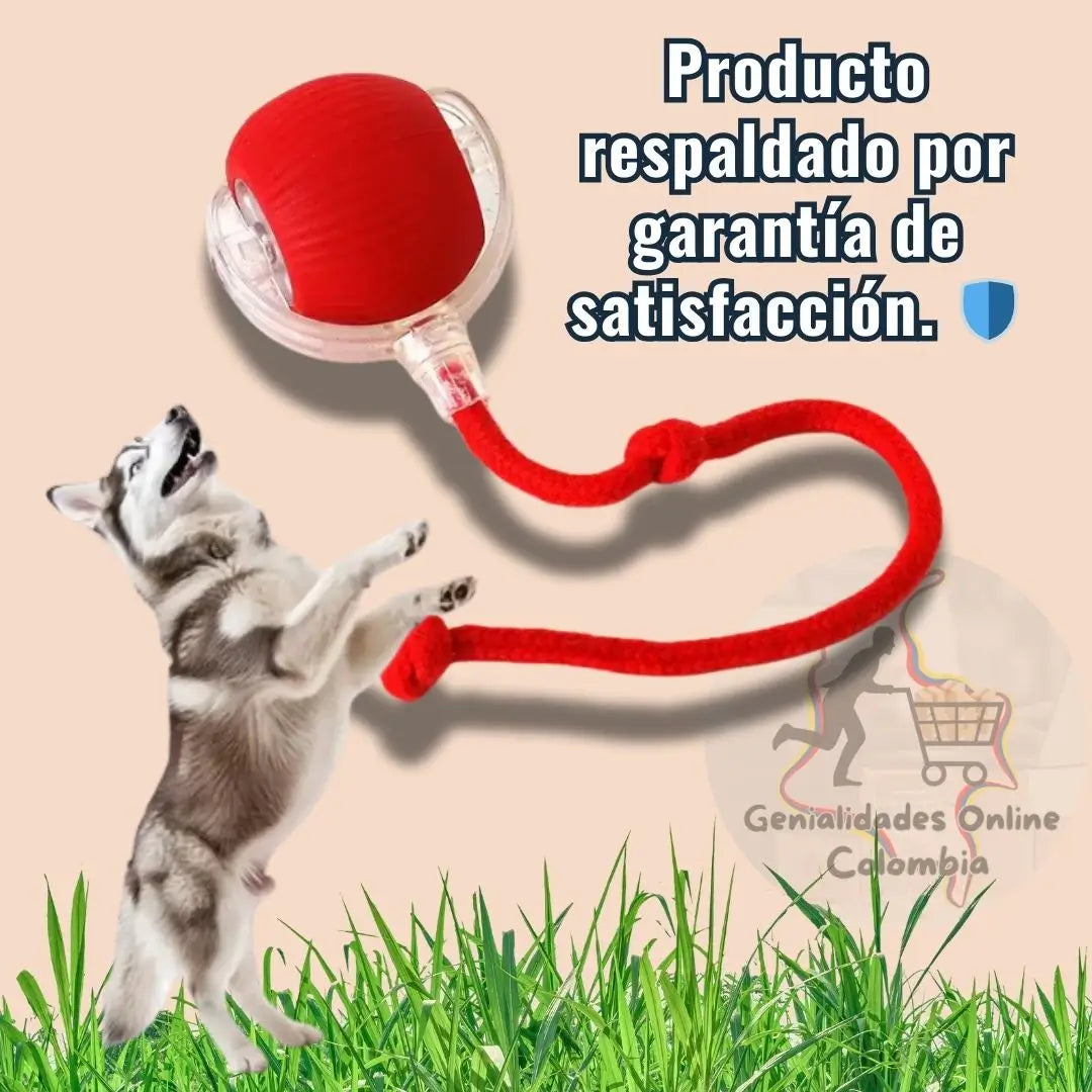 🐾 ¡Diversión sin fin para tu perro con La Pelota Interactiva! 🐶