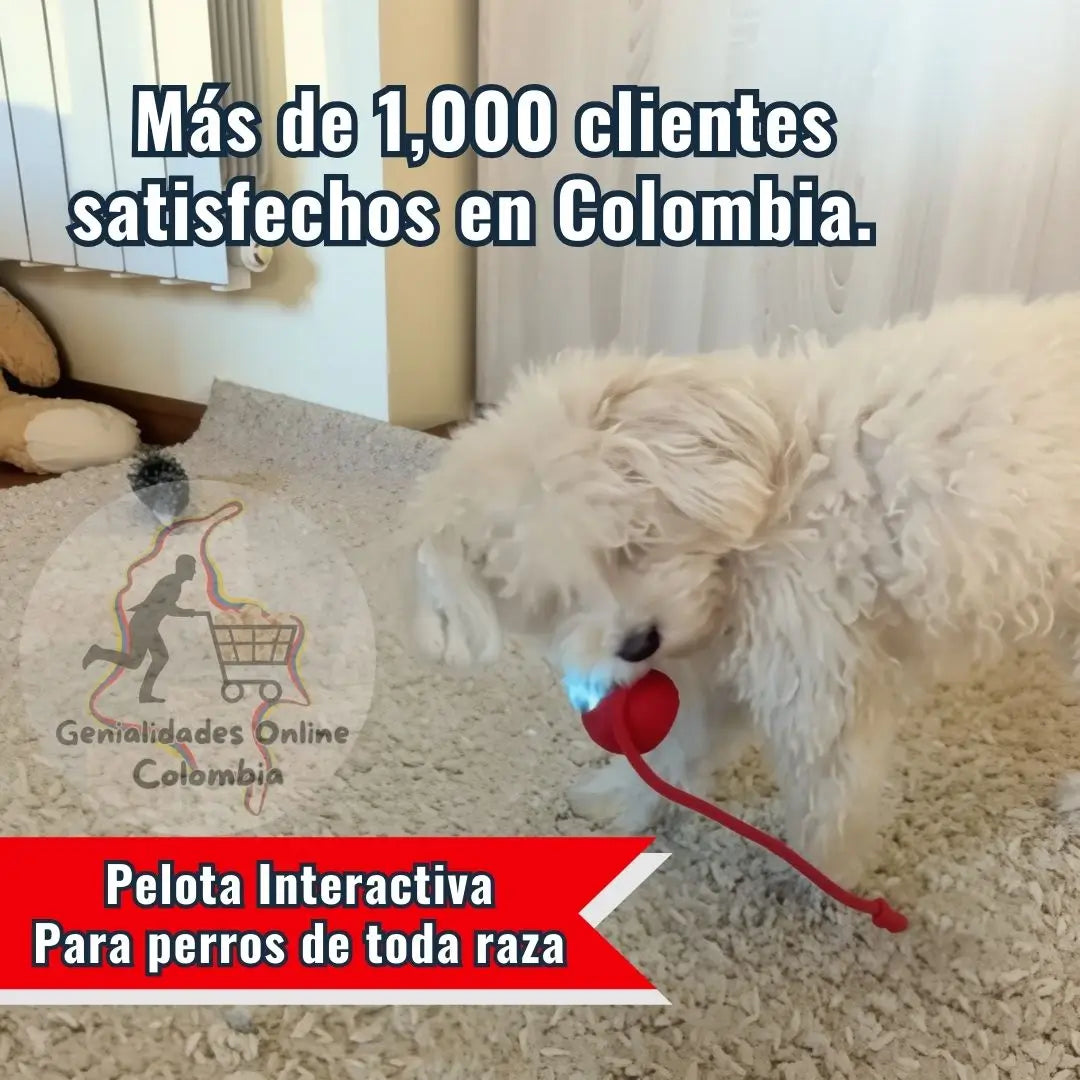 🐾 ¡Diversión sin fin para tu perro con La Pelota Interactiva! 🐶